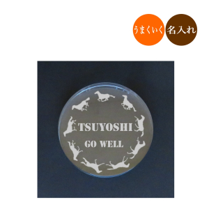 うまくいくグラス 勝ち馬