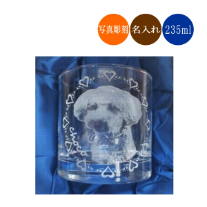 名入れ写真グラス